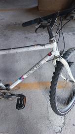 Mtb misura 26