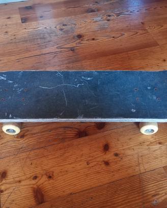 Skateboard usato. Solo in Trentino 