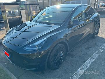 Tesla Model Y Performance
