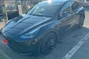 Tesla Model Y Performance