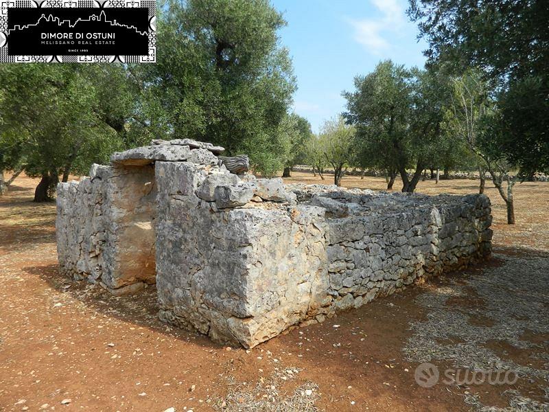 LAMIA SPRITZ con TERRENO 1Ha - OSTUNI - Altro