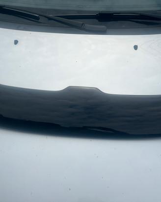 Spoiler alettone punto GT