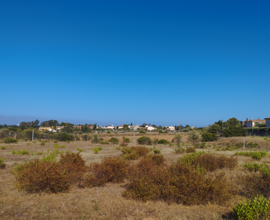 Terreno agricolo