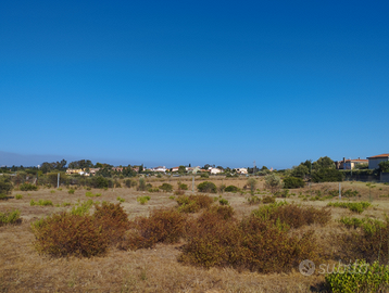 Terreno agricolo