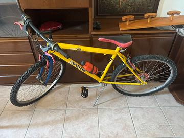 Bicicletta Esperia