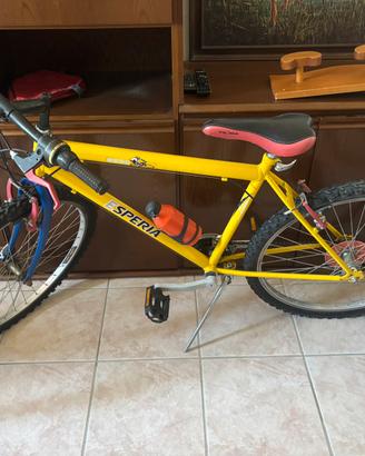 Bicicletta Esperia