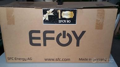 EFOY 80