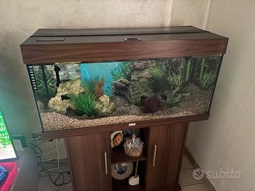 Aquario Rio Juwll 180