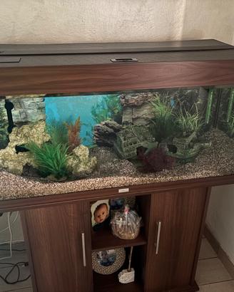 Aquario Rio Juwll 180