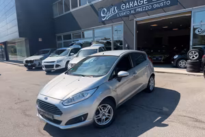 Ford Fiesta 1.0 Neopatentati