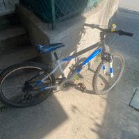 Biciclette mountainbike