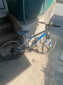 Biciclette mountainbike