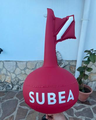 Boa sub