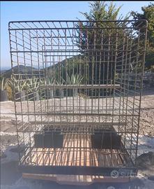 Gabbia  per uccelli