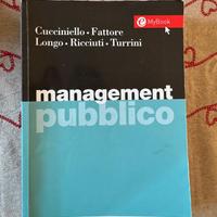 Management pubblico (Egea)
