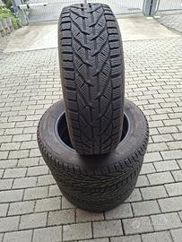 Gomme Invernali R17 Kormoran