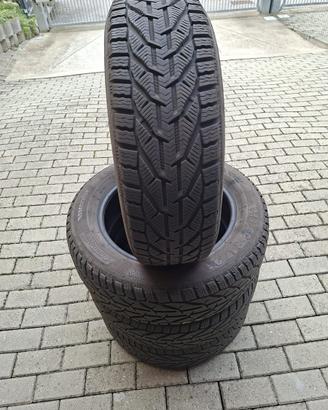 Gomme Invernali R17 Kormoran