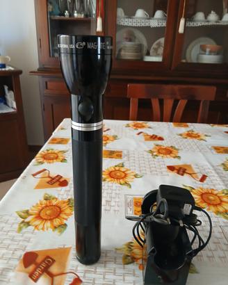 Torcia professionale