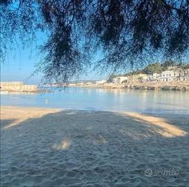 Vento del sud