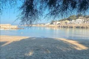 Vento del sud
