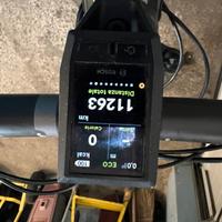 E-Bike Focus