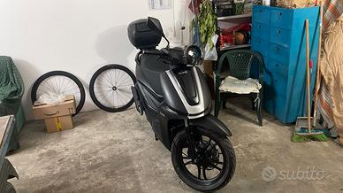 Um Wynwood 125 