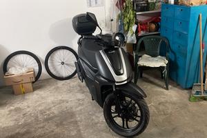 Um Wynwood 125 