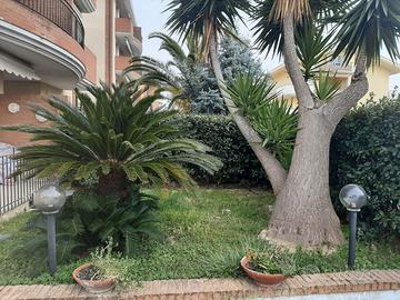 Appartamento estivo Tortoreto Lido