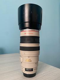 Canon 100-400mm L IS USM