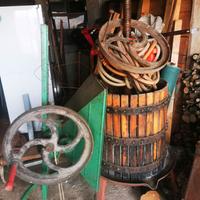 Torchio per vinificazione