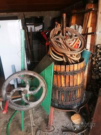 Torchio per vinificazione