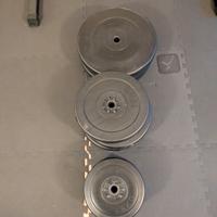 Dischi palestra (90kg)