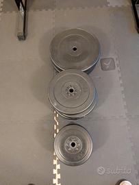 Dischi palestra (90kg)