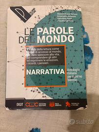 libro le parole del mondo (narrativa)