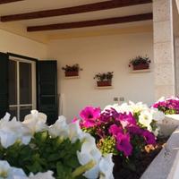 Lido marini 27.06-11.07 villetta vistamare