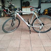 bici da corsa 29"