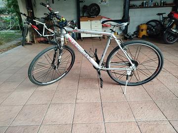 bici da corsa 29"