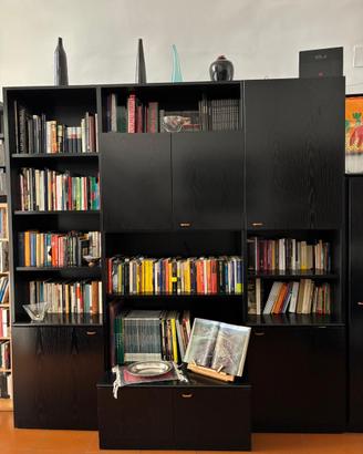Libreria parete attrezzata MOLTEMI