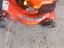 Immagine 4