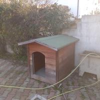 CUCCIA PER CANI GROSSA TAGLIA 