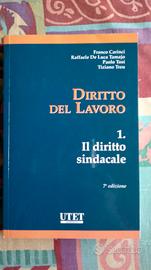 Diritto del Lavoro - Diritto sindacale - 7° ediz.