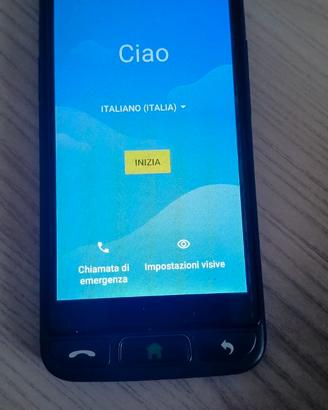 cellulare smart