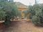Immagine 8
