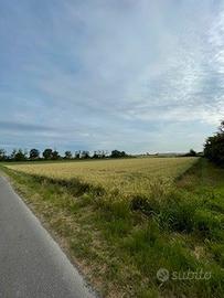 Terreno edificabile a Castelletto di Branduzzo