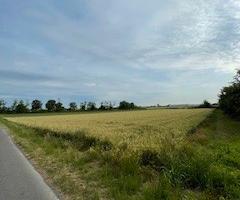 Terreno edificabile a Castelletto di Branduzzo