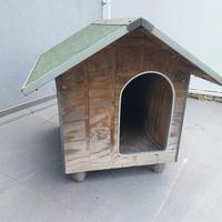 Cuccia, casetta per animali