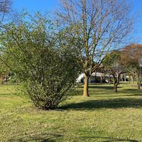 Terreno a Cavallino Treporti (VE)