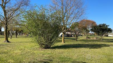 Terreno a Cavallino Treporti (VE)