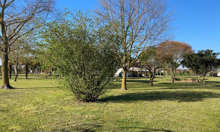 Terreno a Cavallino Treporti (VE)