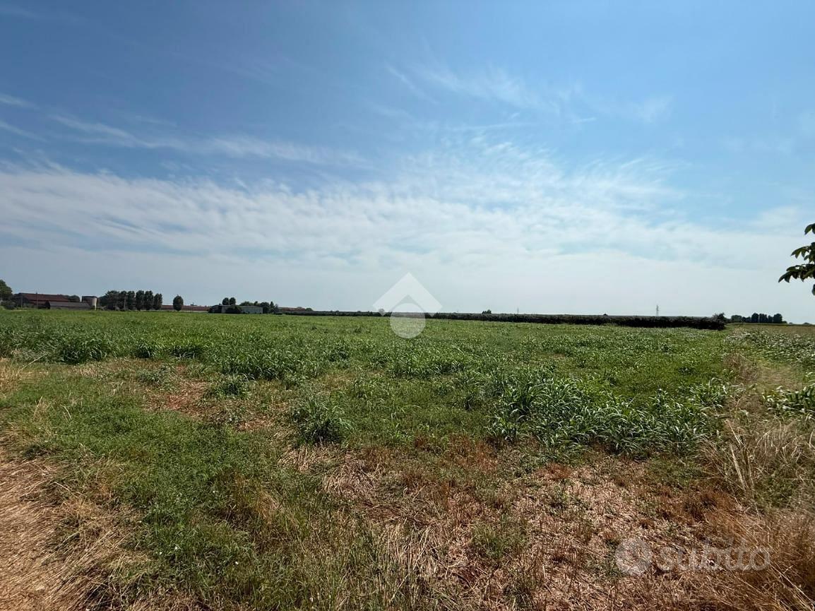 TER. AGRICOLO A ROVERBELLA - Vista 2
